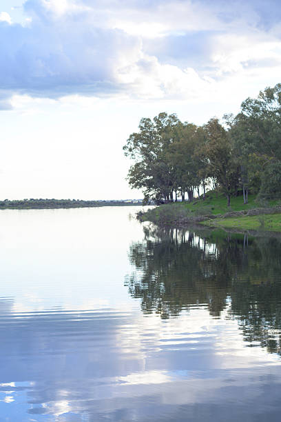 istock Trees on the riverbank with clouds reflected in the water like a vertical mirror 2210627893