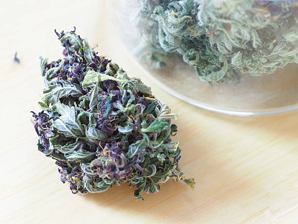 istock medical cannabis in a glass jar 2210634472