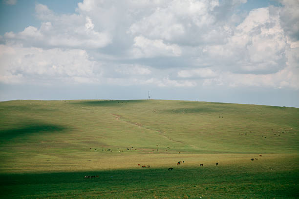 Nomad camp in mountain valley in Inner Mongolia