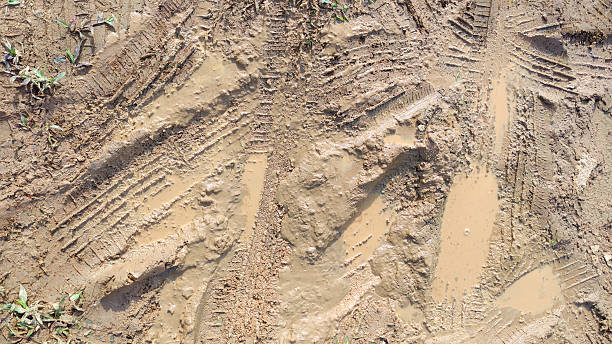 istock Muddy Terrain with Vehicle Tire Tracks and Sprouting Plants 2210639701