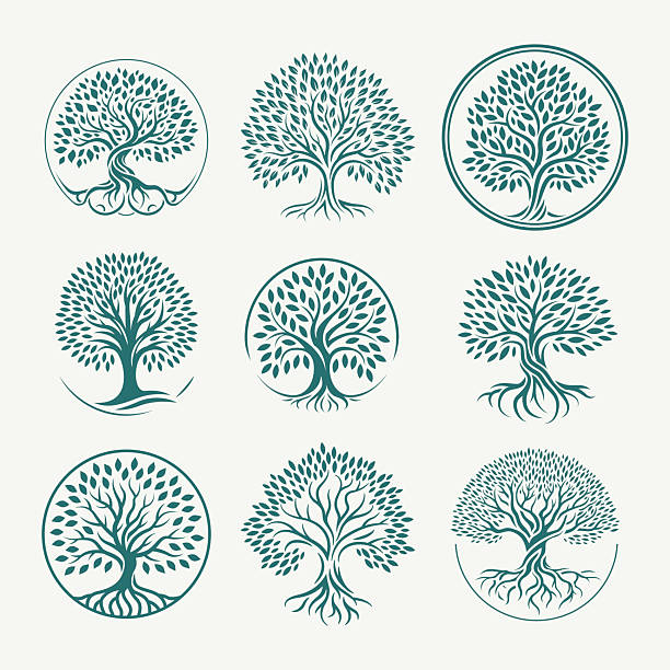 illustrations, cliparts, dessins animés et icônes de collection d’illustrations d’arbres stylisés. - arbre