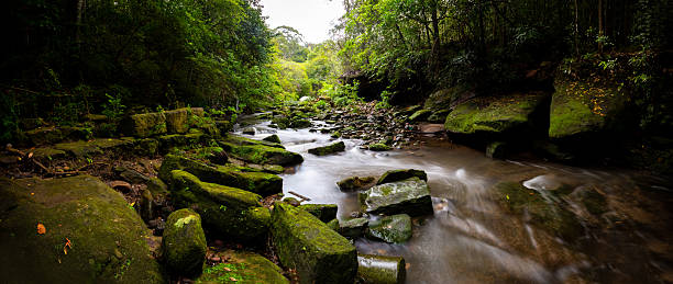 A picturesque waterfall tumbles gently over weathered sandstone, surrounded by dense green foliage in a vibrant forest setting. The scene captures the tranquility and natural beauty of a hidden woodland stream
