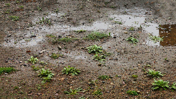 Raindrops. Splashes of water.