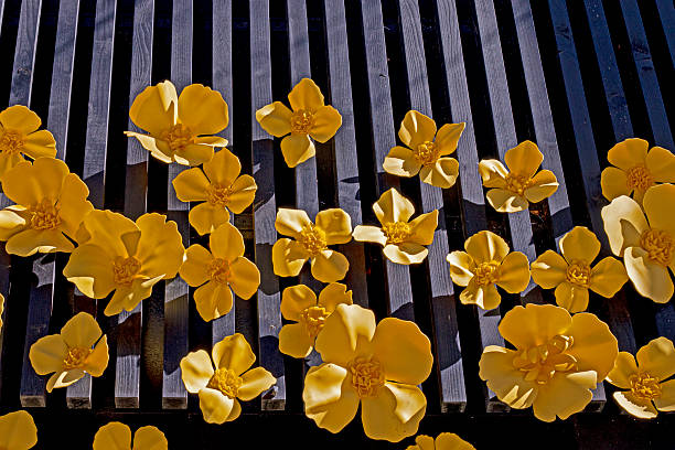 decoration yellow decorative flowers wall illuminated by the sun