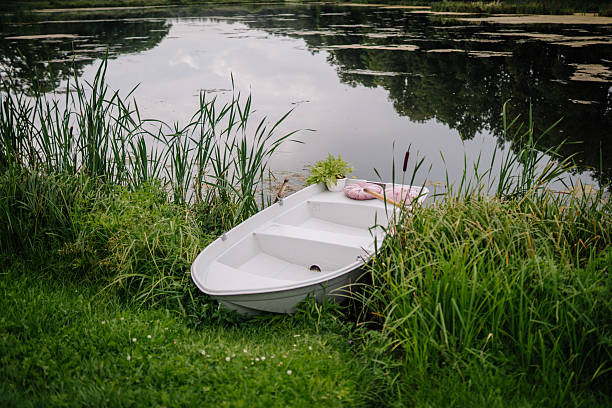 Old dinghy left to decay in a grass field close to the water
