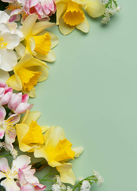 istock Spring flowers creating a border on a pastel green background with copy space 2210657830