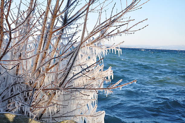 Close-up of icicles hanging from the roof with pine trees in the distance.