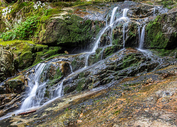 istock Cascading water flows gently over moss-covered rocks in a serene forest setting during daylight hours 2210661757