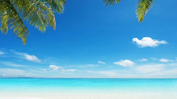 istock Tropical paradise beach scene for background or wallpaper 2210662855