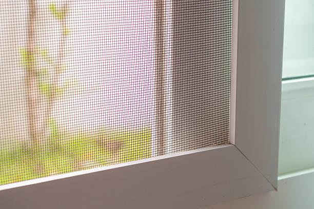 istock mosquito net wire screen on house window protection against insect 2210667702