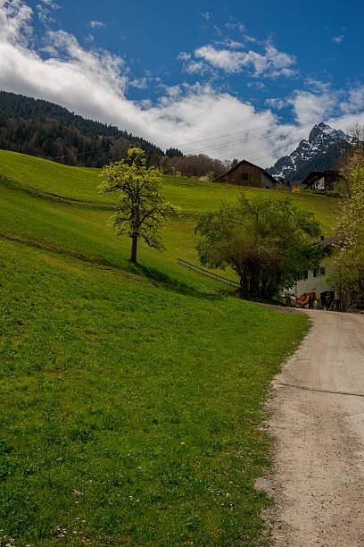 istock Narrow hiking trail leading up a gr 2210667960