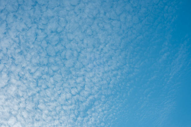 Soft, fluffy clouds stretch across a bright blue sky during midday sunshine.