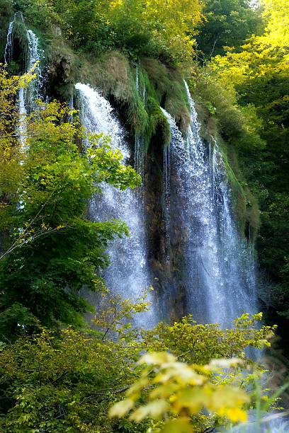 Waterfalls in Plitvice lakes national park during summer day, Croatia