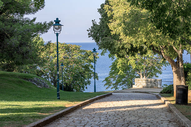 Rovinj, Croatia square with trees and sea view
