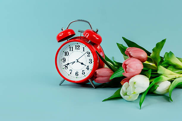 istock Spring tulip flowers and a red alarm clock on a blue background , a place for text 2210677882