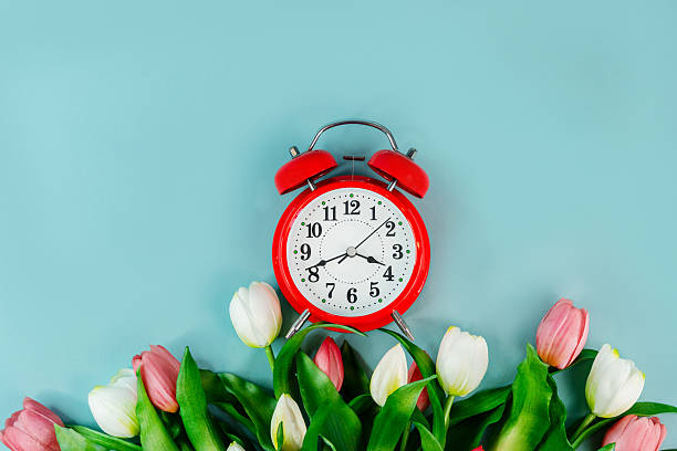 istock Spring tulip flowers and a red alarm clock on a blue background , a place for text 2210677925