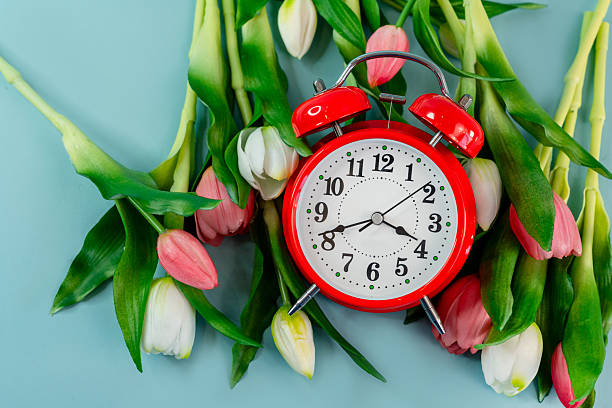 istock Spring tulip flowers and a red alarm clock on a blue background , a place for text 2210677949
