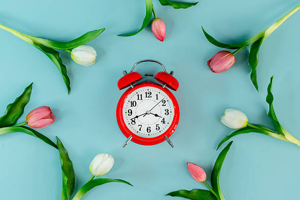 istock Spring tulip flowers and a red alarm clock on a blue background , a place for text 2210678012