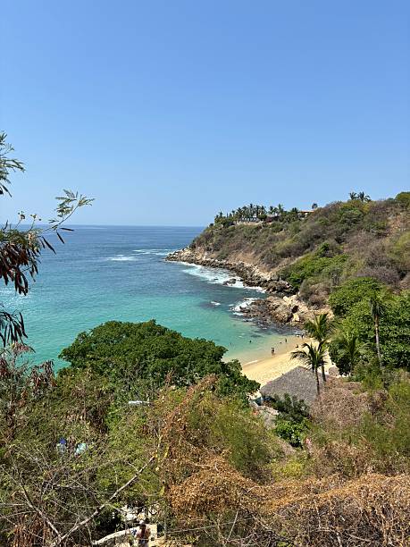 istock Carrizalillo Beach, Puerto Escondido 2210681394