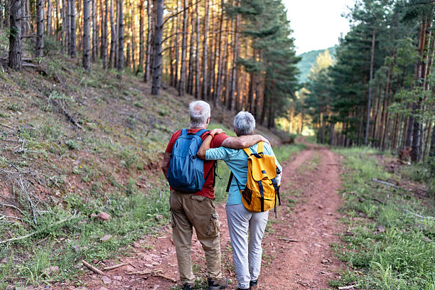 istock Senior couple hiking together in a pine forest 2210686303
