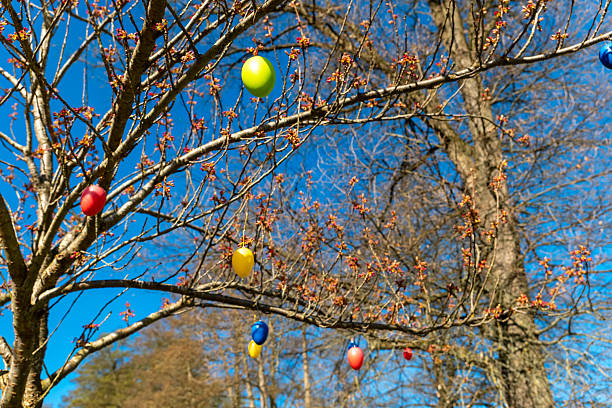 A vibrant display of decorated eggs dangles from the bare branches of a tree as spring blossoms begin to bloom, creating a cheerful atmosphere in the park.