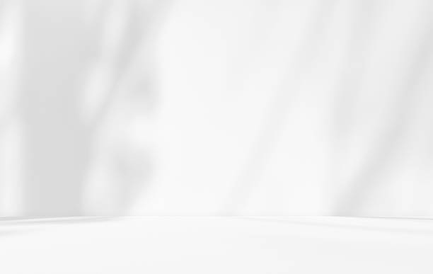 istock Empty white room studio with leaves shadow overlay effect for product presentation display. 2210686816