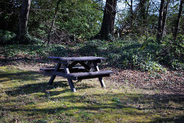 wooden picnic table in the forest ountry park, during sunny spring time Northern Ireland