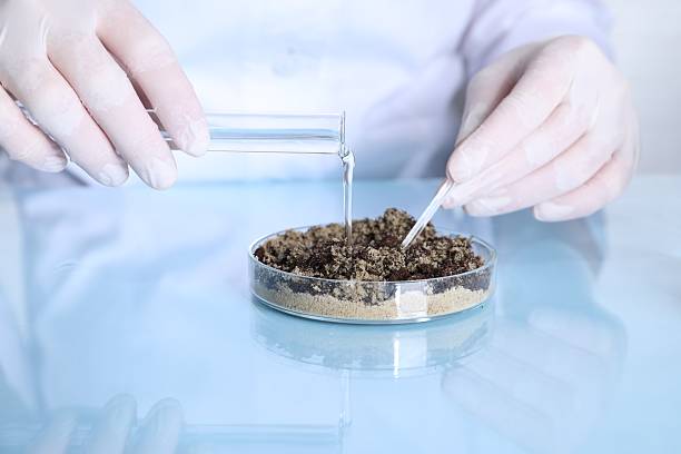 istock Laboratory testing. Scientist pouring liquid onto sand sample at table indoors, closeup 2210692914