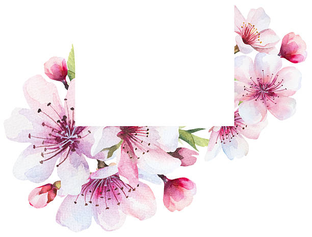 istock Frame with watercolor pink cherry flowers and green leaves, wedding sakura isolated illustration 2210696276