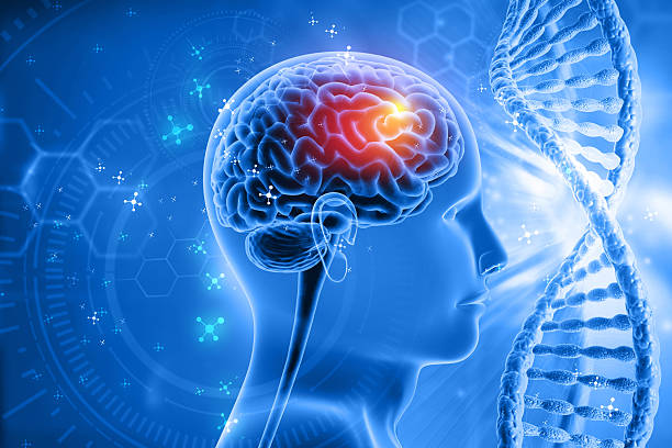Human brain disease with DNA strand