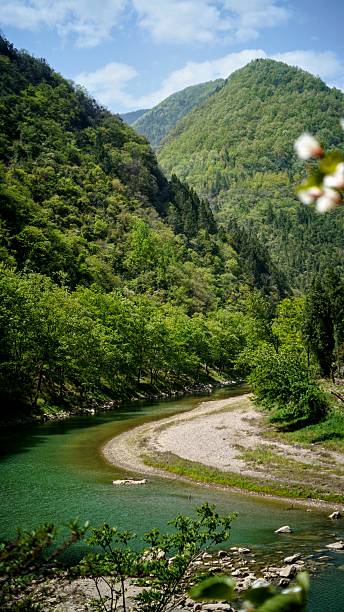 istock Tongjiang Nuoshui River 2210700315