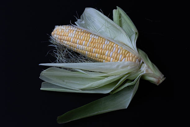 istock Healthy Food Concept, Fresh Organic Corn 2210702435