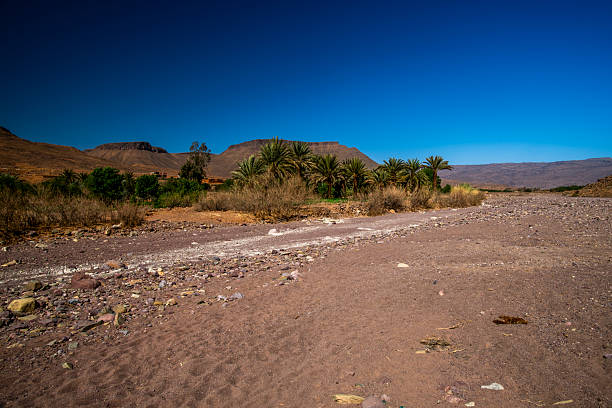 Tizi n'Tichka,  a mountain pass in Morocco, linking the south-east of Marrakesh to the city of Ouarzazate through the High Atlas mountain