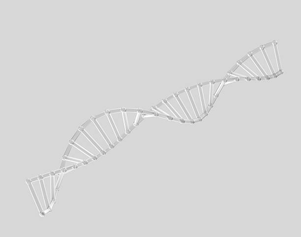 istock 3d Transparent DNA helix with futuristic look, symbolizing genetics and biotechnology. 3d illustration 2210704337