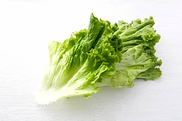 istock Green leaf lettuce, green coral on white background 2210704428
