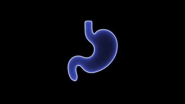 istock Human belly with glowing neon lines. Neon Human Digestive System Stomach Anatomical illustration. Neon stomach icon in line style. 2210707431