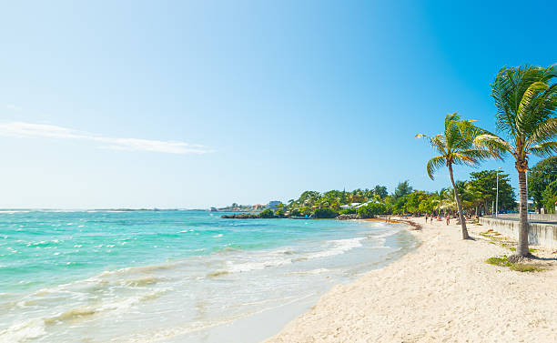 istock Tropical beach in the Caribbean on a sunny day 2210707635