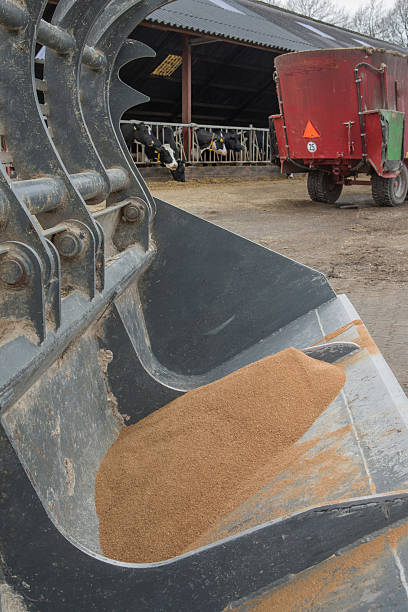 istock Feeding mixing machine mixing cattle feed at a dairy farm 2210707895