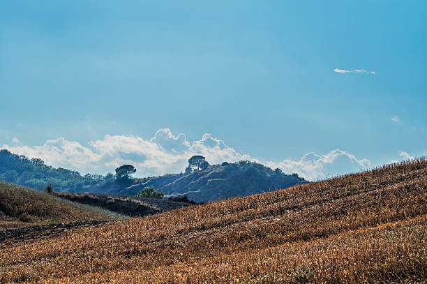 Land feature in daytime