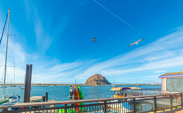 istock Seagulls flying over Morro Bay on a sunny day 2210710484