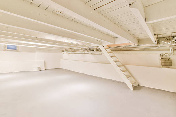 Impressive design of a huge basement with stairs in a charming house