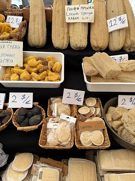 istock Loofah and sea sponges 2210712484