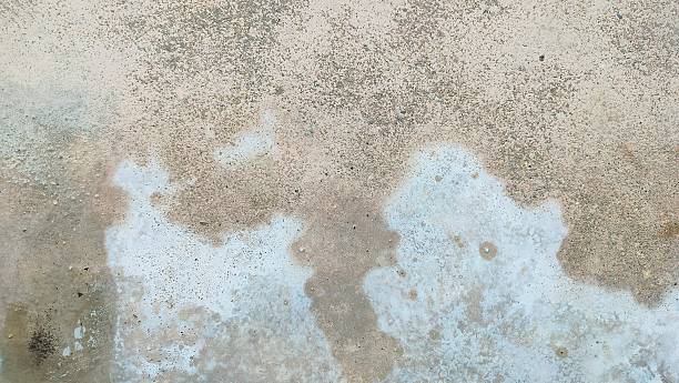 istock Dirty dark concrete wall background. rusted wall algae old texture background. Dirty dark concrete wall background. mossy old concrete cement background 2210715150