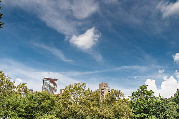 istock buildings on central park in manhattan 2210716397