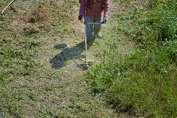 On the plot, a gardener in overalls and protective overalls cuts overgrown grass in summer with a lawnmower