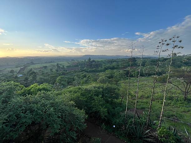 Tanzania - Karatu ( Arusha) - landscape