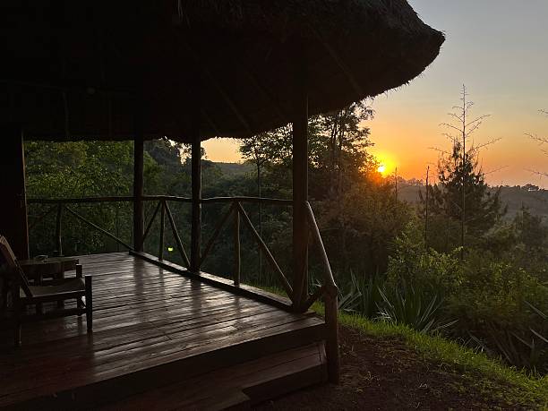istock Tanzania - Karatu ( Arusha) - Sunrise 2210723550