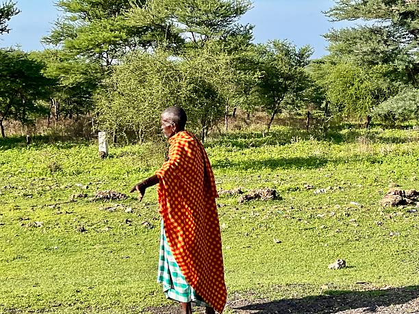Tanzania - Arusha district - Old Masai \n\nAt the side of the road, an old Maasai man in traditional clothes walks along the side of the road\n\nDecember 31, 2024