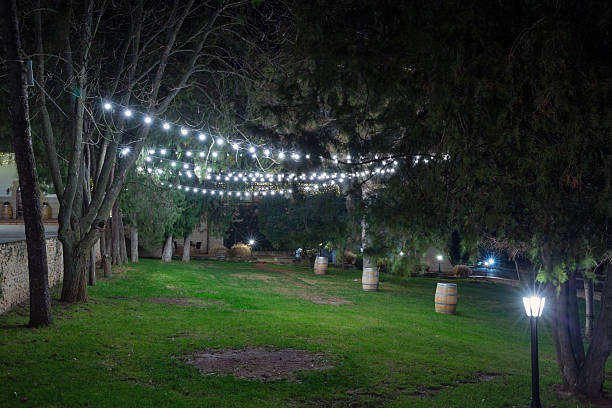 istock Winery garden at night, Moldova. 2210726119