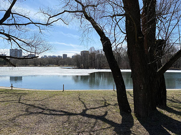 istock spring in city park at dry sunny day 2210729385